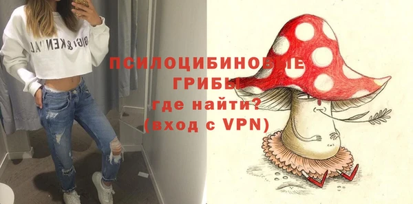 винт Алексин