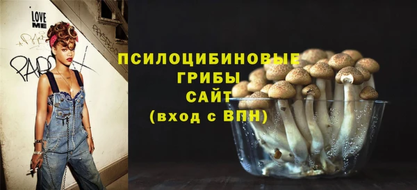 винт Алексин