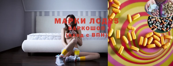 стафф Алзамай