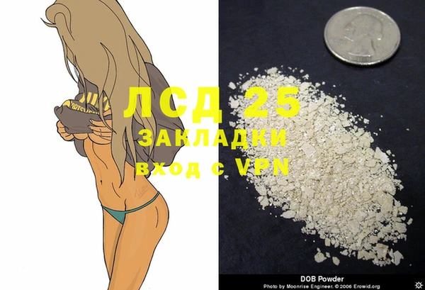 стафф Алзамай